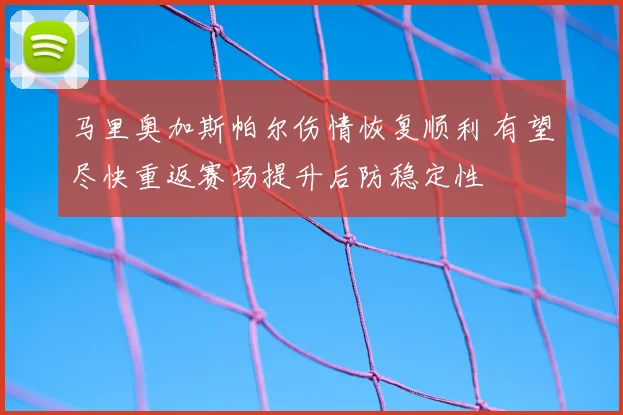 马里奥加斯帕尔伤情恢复顺利 有望尽快重返赛场提升后防稳定性