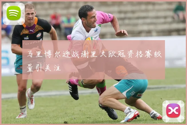 马里博尔迎战谢里夫欧冠资格赛较量引关注