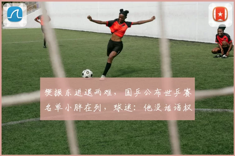 樊振东进退两难，国乒公布世乒赛名单小胖在列，球迷：他没话语权