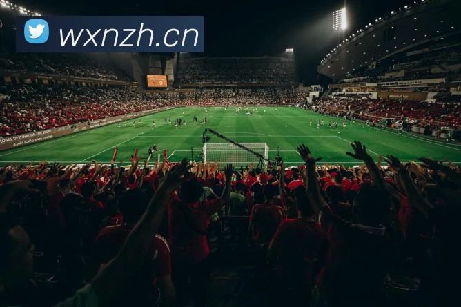 多媒体互动体验