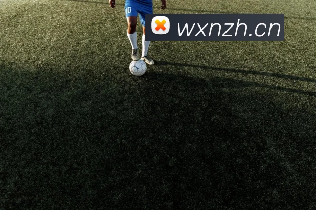 爱游戏ayx官方网登录APP 体育赛事宣传图